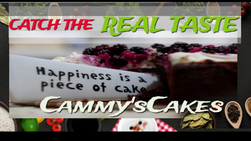 cammyscakes - Visual