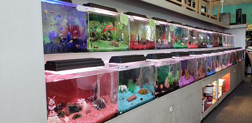 Trop Aquarium - Thumbnail