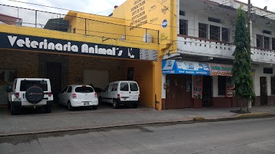 Photos of Veterinaria Animal's