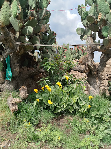 El menique - Visual