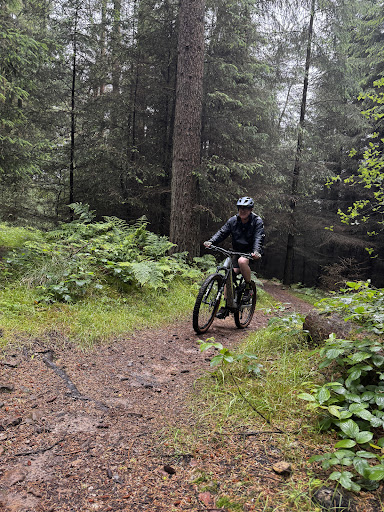 Dalby Forest - Visual