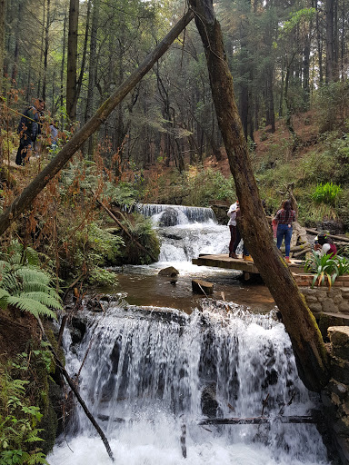 Parque Eco-Turistico Santa Maria Mazatla