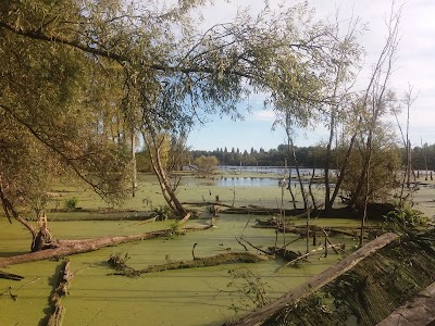 Photos of Marais d'Harchies