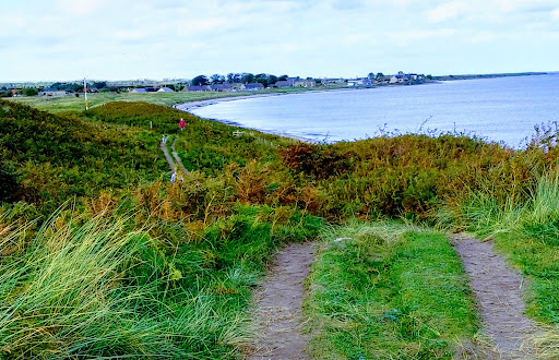 Seaton Point - Visual