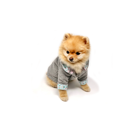 Mochi Mini Ltd - Thumbnail