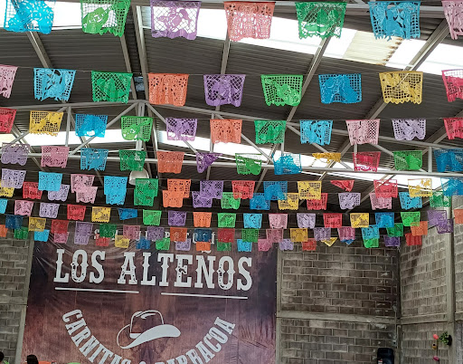 LOS ALTEÑOS SAN LUIS POTOSI - Thumbnail