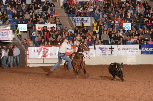 Ector County Coliseum - Visual