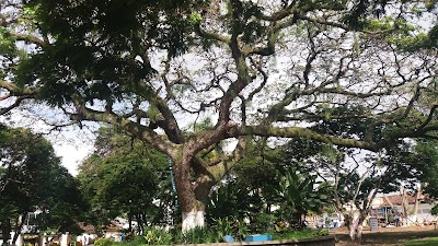 Photos of Parque Los Lanceros
