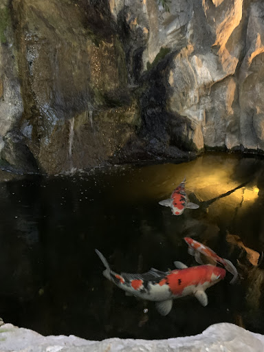 Rêve Exotique (Espace animalier + univers bassin de jardin) - Thumbnail