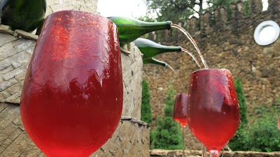 Photos of "Mileștii Mici" Winery