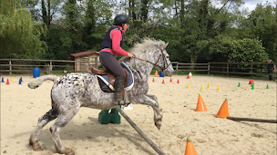 Photo n°4 de Les Ecuries du Shamrock à La Chapelle-Montligeon (Centre équestre)