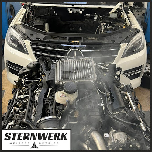 Sternwerk Motoren photo