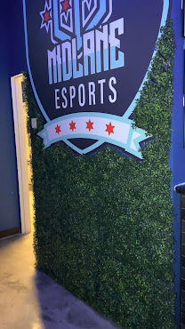 Midlane Esports by null