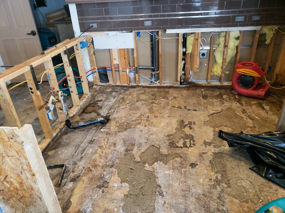 Aqua Dry Experts LLC photo