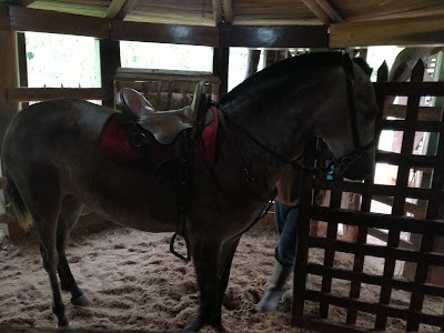 Photos of Rancho Tabacon(Gaspar)
