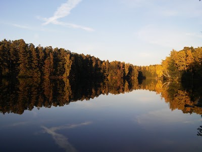 Photos of Villa Forest