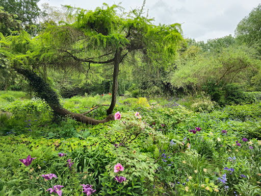 Karl Foerster Garten im Tier Park