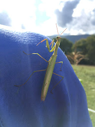 Photo n°14 de La Ferme D'Elouise à Seyssel (Maraîcher)