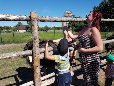 Photos of Eksotisko dzīvnieku apskate Dundagā