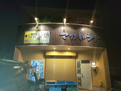 （有）マリンギャラリー