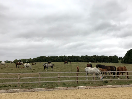 Oakingham Stud