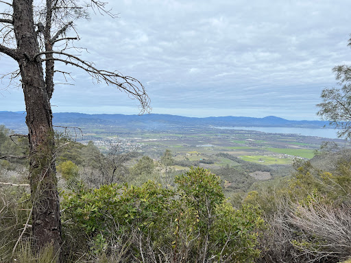 Buckingham Peak - Thumbnail