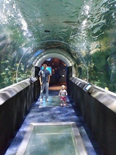 Reiman Aquarium