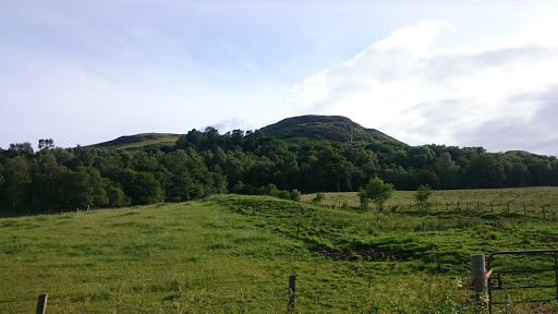 Fintry - Visual