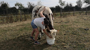 Photo n°2 de Gaec Bisson à Boischampré (Agriculteur)