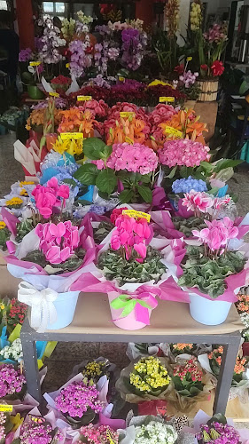 Eco FloraBH