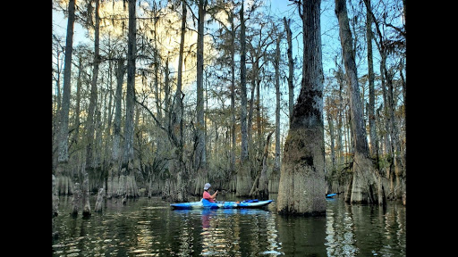 Honey Island Kayak Tours