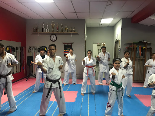 Karate Kyokushin Panamá - Daruma Dojo