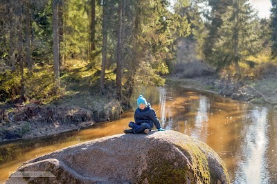 Photos of Viesatas upesloku takas