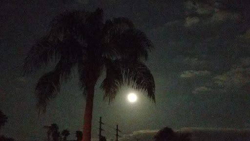 Manor West Mobile Home Park - Thumbnail