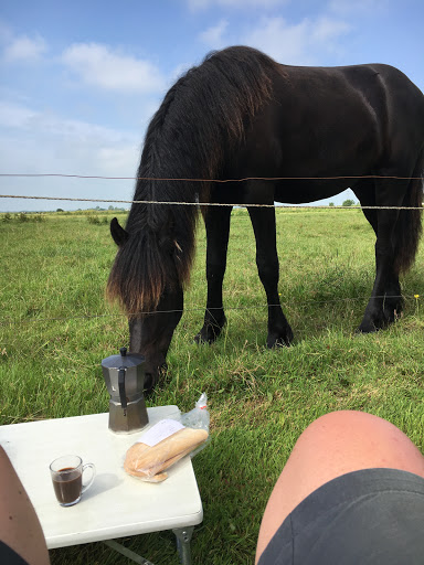 Boerderijcamping De Koaipleats - Thumbnail