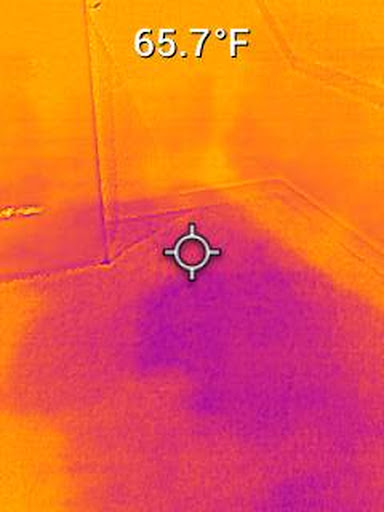 post-image-1