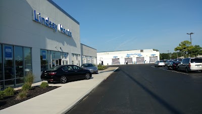 car-dealer