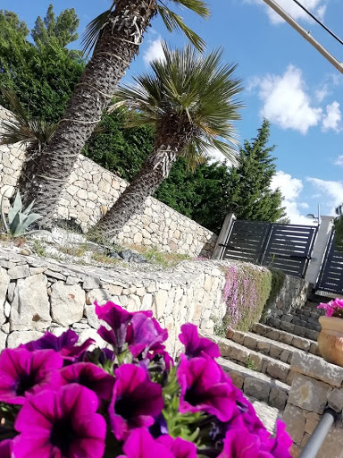 EdilSR - Thumbnail