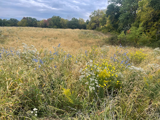 Bonnie View Nature Sanctuary