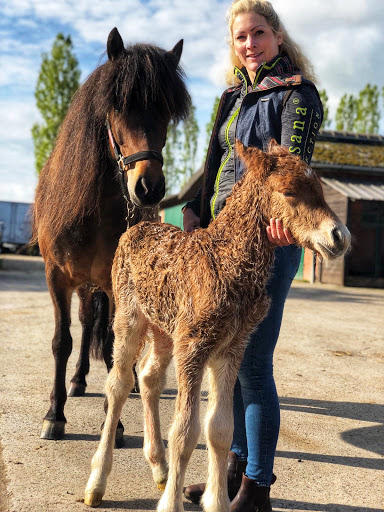 Tierarztpraxis MedicalVet.Life