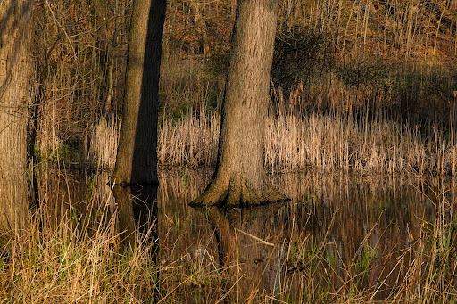 Grand River Conservation Area