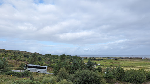 Shiel Buses
