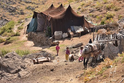 ŞİRVAN İLÇE TARIM VE ORMAN MÜDÜRLÜĞÜ