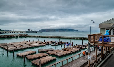 Sea Lion Viewing Area