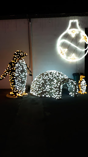 Nautilus Music Lights Christmas & Garden - Thumbnail