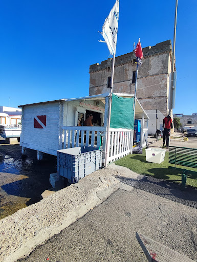 Sasa' sub diving center - Visual