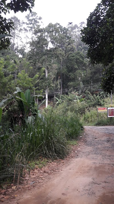 Photos of Ella Eco Lodge