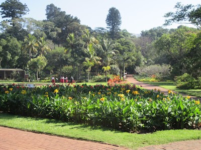 Photos of Durban Botanic Garden