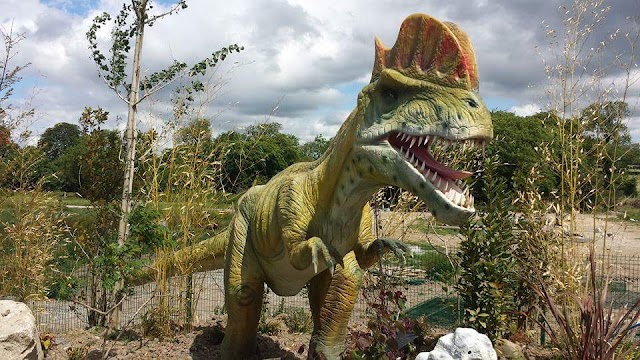 Tayto Park