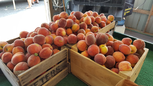 Ocean View Produce - Thumbnail